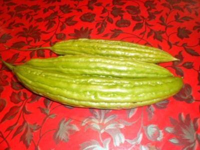 Avysa Chinese Bitter Melon Green Skin Seed(300 per packet)