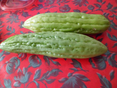 UGRA Chinese Bitter Melon Green Skin Seed(80 per packet)