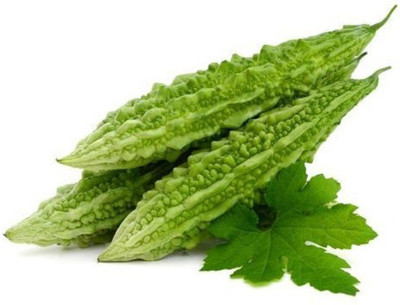 UGRA Ornamental Vine Bitter Gourd Seed(150 per packet)