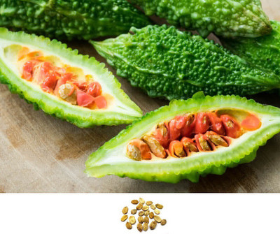 UGRA Bitter Melon Organic Seeds Seed(80 per packet)