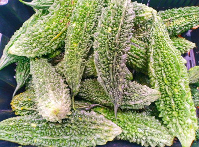 UGRA BITTER MELON Ground SEEDS Seed(30 per packet)