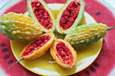 GOCROP Chinese Bitter Melon Gourd Seed(150 per packet)