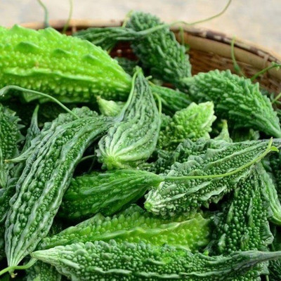 UGRA Bitter Gourd Faizabadi Seed(50 per packet)