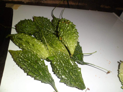 UGRA Bitter Melon, Karela, Bitter Gourd Seed(300 per packet)