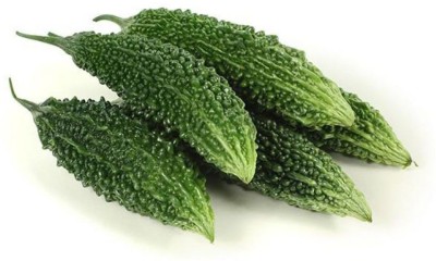 UGRA BITTER GOURD SEEDS – KARELA BEEJ Seed(400 per packet)