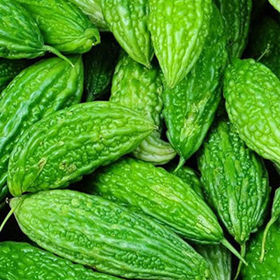 UGRA Bitter gourd Seeds Seed(1000 per packet)