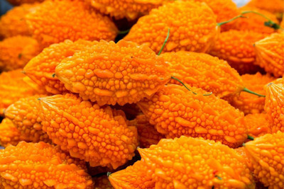 UGRA Bitter Gourd Vine Seeds Seed(200 per packet)