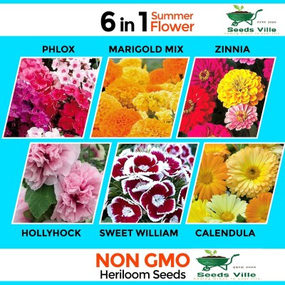 SeedsVille Different Variety Summer Flower Seeds (Multicolour, Pack of 6), Garden Seed(255 per packet)
