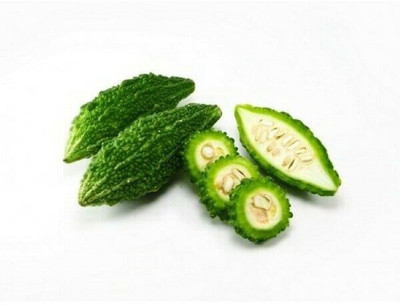 UGRA Bitter Melon Organic Seeds Seed(200 per packet)