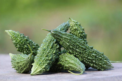 GOCROP Bitter Gourd Seeds Seed(120 per packet)