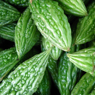 UGRA Green bitter gourd (karela) Seeds Seed(30 per packet)