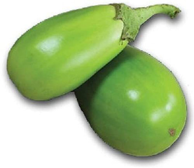 CYBEXIS KGF -71 - Green Brinjal / Egg Plant - (1350 Seeds) Seed(1350 per packet)