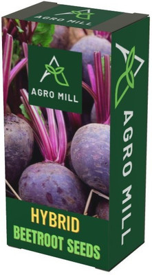 AGRO MILL BEETROOT/TABLE BEET/GARDEN BEET/RED BEET/DINNER BEET Seed(100 per packet)