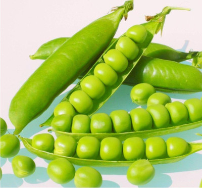 KANAYA Vegetable Seeds Garden Pea Matar Organic Seed(10 per packet)