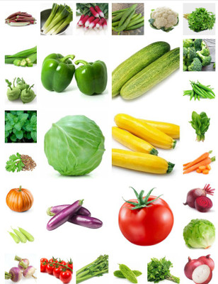 SeedsVille Organic Vegetable Hybrid Seeds Combo - 30 Varieties Kitchen Garden Pack 1100+ Seed(1100 per packet)