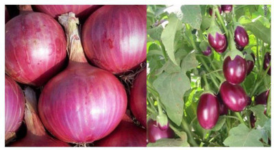 Paudha Red Onion ( 200 Seeds) And Brinjal Purple Round ( 30 Seeds) Vegetable Seed(2 per packet)