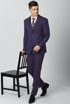 PETER ENGLAND Single Breasted Textured Men Suit