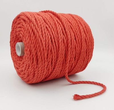 Ananta Saffron Thread(100 m Pack of1)