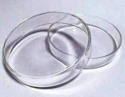 B NR EXPORTS Glass Reusable Petri Dish(150 mm Pack of 2)