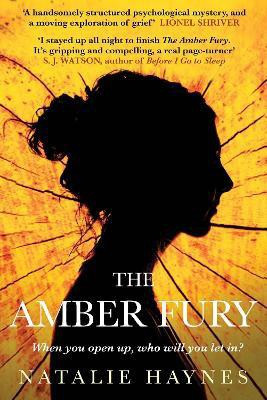 The Amber Fury(English, Paperback, Haynes Natalie)