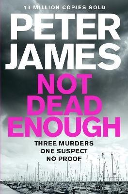 Not Dead Enough(English, Paperback, James Peter)