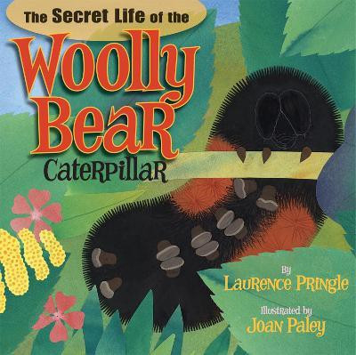 The Secret Life of the Woolly Bear Caterpillar(English, Hardcover, Pringle Laurence)