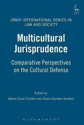 Multicultural Jurisprudence(English, Paperback, unknown)