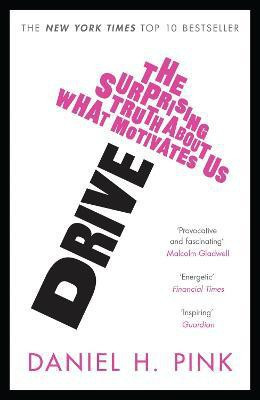 Drive(English, Paperback, Pink Daniel H.)