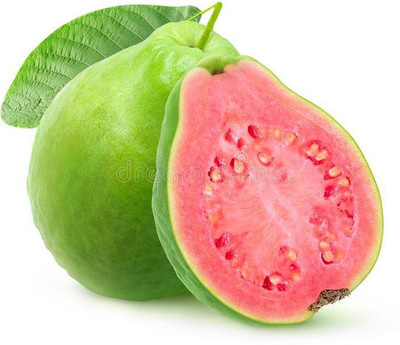 XOLDA Guava fruit Seed(15 per packet)