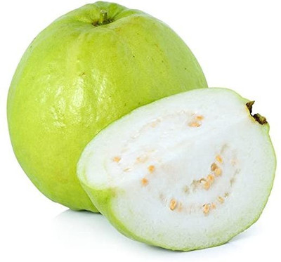 XOLDA Guava fruit Seed(30 per packet)