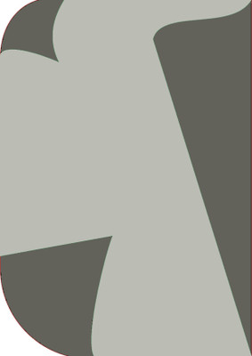 Stookin 8X 12ft ,2 In 1 Colors Single Photography Backdrop(Dark Grey & Grey 2 in 1) Reflector