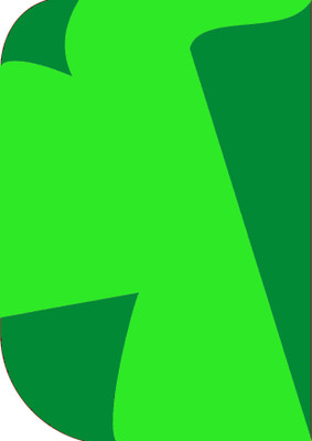 Stookin 8X 12ft,2In1 Colors Single Photography Backdrop(Dark Green & Parrot Green 2in1) Reflector