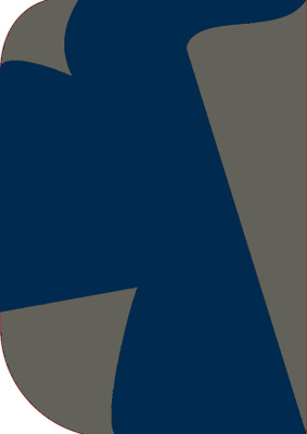 Cam cart 8X 12ft ,2 In 1 Colors Single Photography Backdrop(Dark Grey & Navy Blue 2 in 1) Reflector