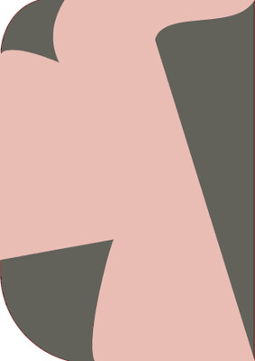 Vistook 8X 12ft ,2 In 1 Colors Single Photography Backdrop(Dark Grey & Pink 2 in 1) Reflector