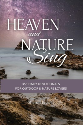 Heaven and Nature Sing(English, Paperback, Brodin Sharon)