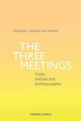 The Three Meetings(English, Paperback, Ben-Aharon Yeshayahu (Jesaiah))