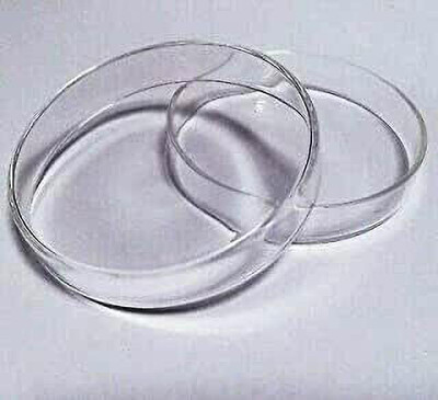 B NR EXPORTS Glass Reusable Petri Dish(150 mm Pack of 5)