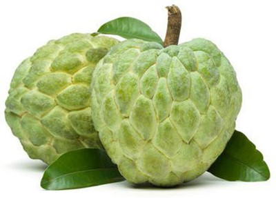 Paudha Custard apple (setaphal) Seed(16 per packet)