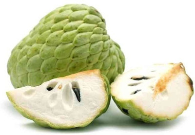 Paudha Custard apple (setaphal) Seed(20 per packet)