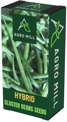 AGRO MILL CLUSTER BEANS/GUAR KI FHALI Seed(50 per packet)