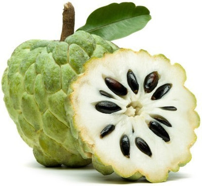 Paudha Custard apple Seed(35 per packet)