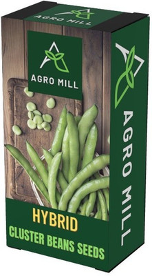 AGRO MILL CLUSTER BEANS/GUAR KI FHALI Seed(50 per packet)