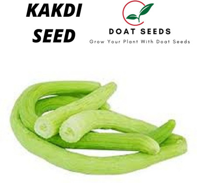 Doat KAKDI Seed(100 per packet)
