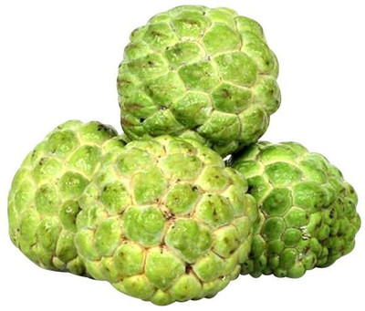 Paudha Custard apple (setaphal) Seed(15 per packet)