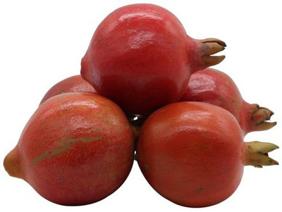 Paudha pomegranate (Anaar) Seed(46 per packet)