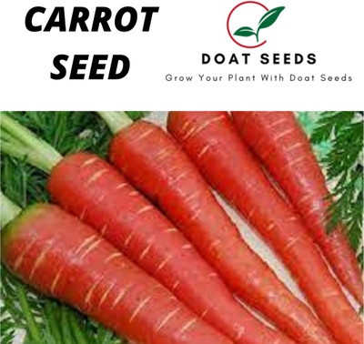 Doat carrot, gajar Seed(100 per packet)