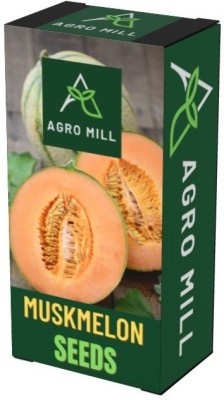 AGRO MILL MUSK MELON/ KHARBUJA SEEDS FOR KITCHEN GARDENING Seed(50 per packet)