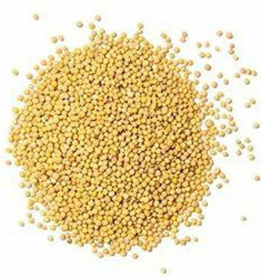 Shrikv Crafts Whaite mustard - 1000 G Seed(1000 per packet)