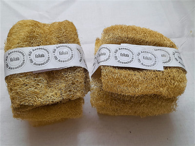 rdassociates Loofah(Pack of 10, Beige)