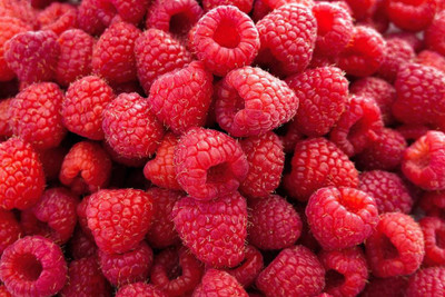 XOLDA Raspberry Fruit Seed(45 per packet)